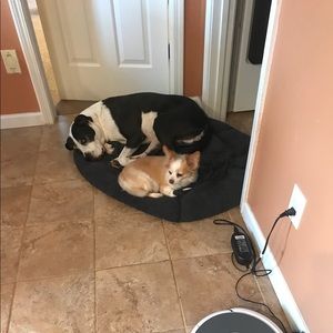 Meet your Posher, Amiee